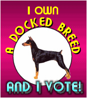 iownadockedvote.jpg